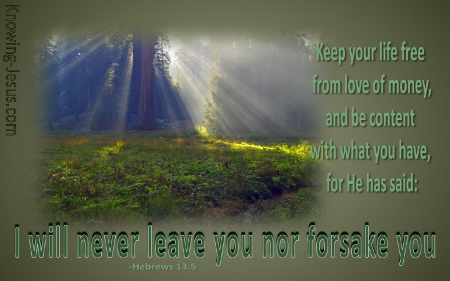 Hebrews 13:5 I Will Not Leave You (sage)
